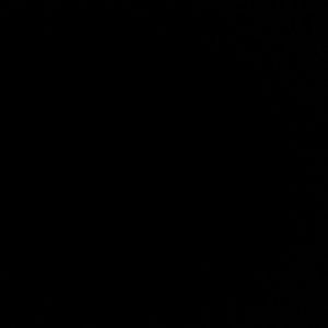 Meet your Posher, Jada